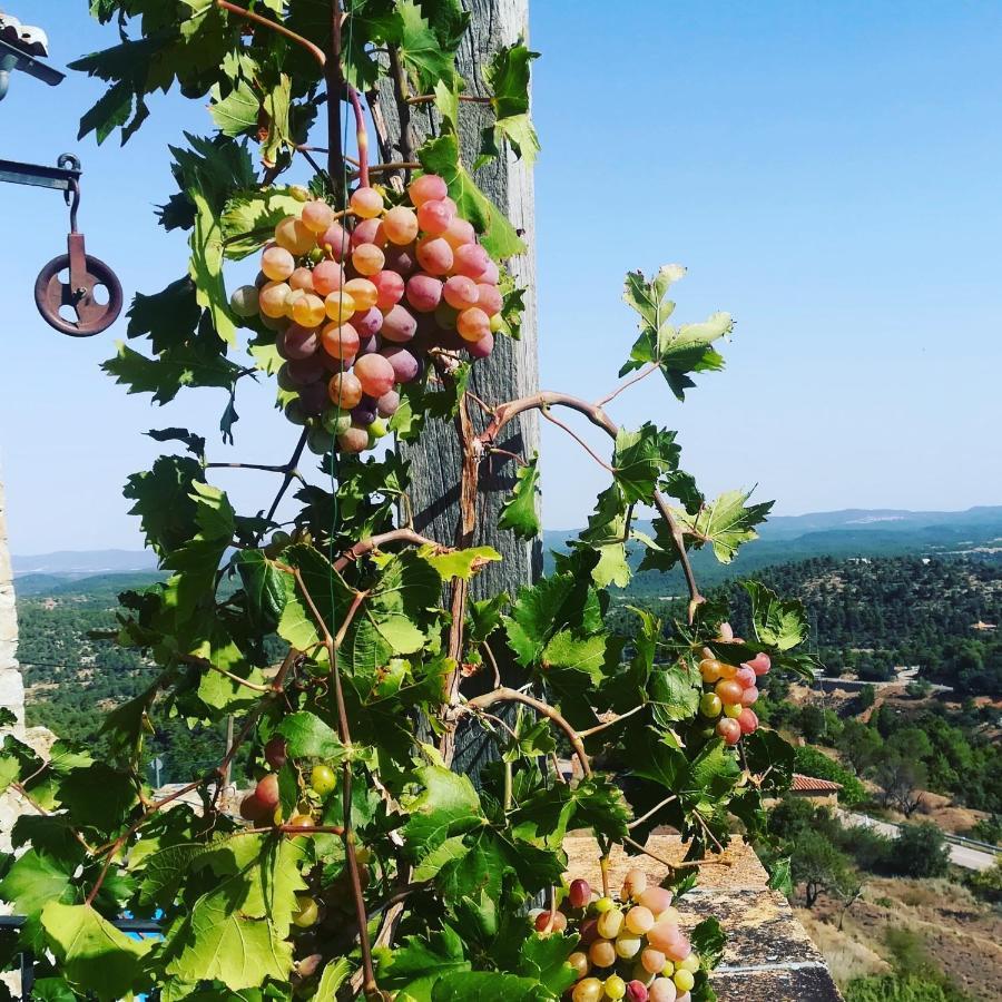 فيلا Casa Rita موريلا المظهر الخارجي الصورة