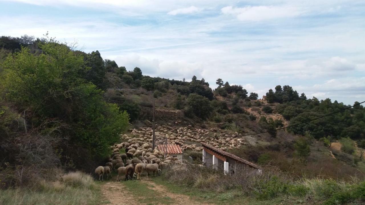 فيلا Casa Rita موريلا المظهر الخارجي الصورة