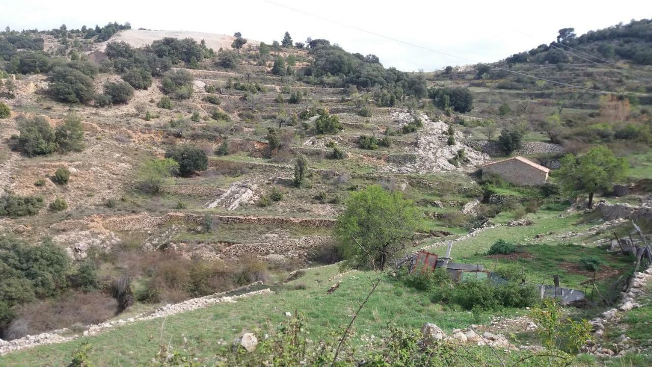 فيلا Casa Rita موريلا المظهر الخارجي الصورة