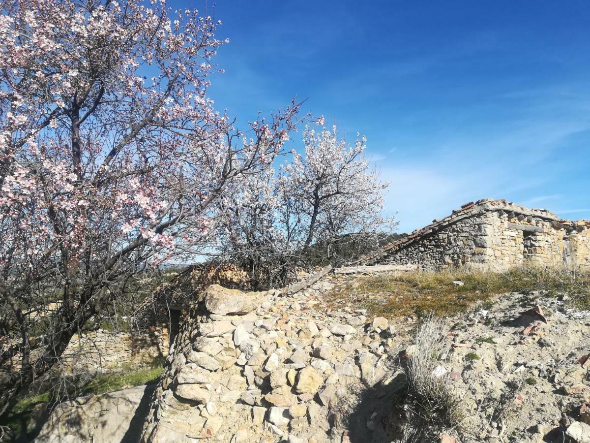 فيلا Casa Rita موريلا المظهر الخارجي الصورة
